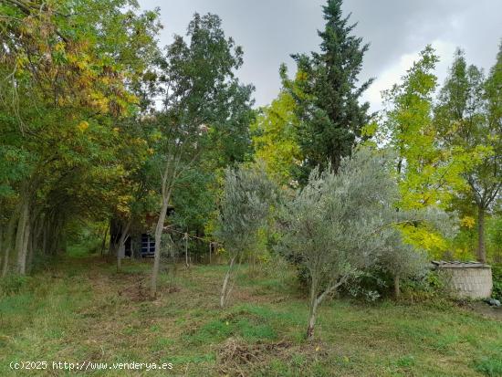 Finca Rustica en Marcilla - NAVARRA