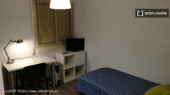 Habitaciones solo para mujeres en piso compartido en Murcia - MURCIA