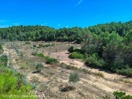 Se Vende en Horta de Sant Joan - TARRAGONA