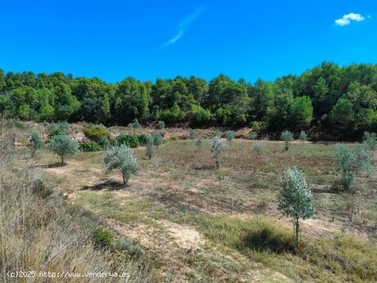 Se Vende en Horta de Sant Joan - TARRAGONA