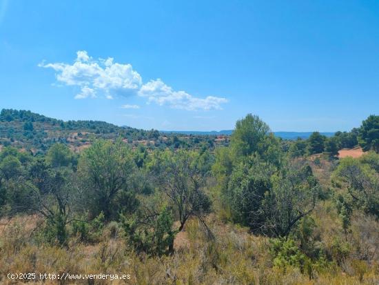 Se Vende en Valderrobres - TERUEL