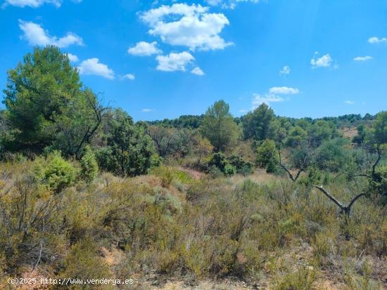 Se Vende en Valderrobres - TERUEL