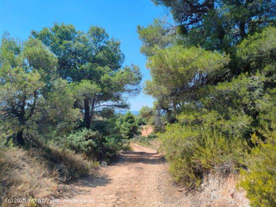 Se Vende en Valderrobres - TERUEL