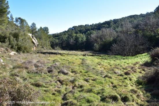 Se Vende en Arens de Lledo - TERUEL