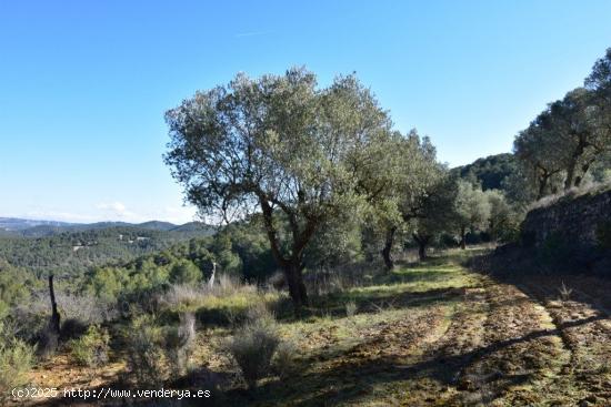 Se Vende en Arens de Lledo - TERUEL