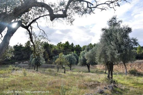 Se Vende en Valderrobres - TERUEL