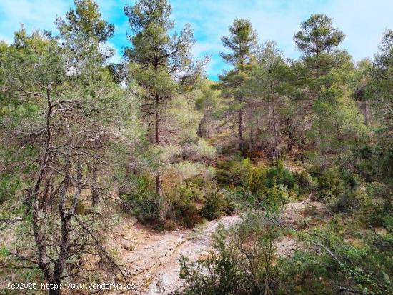 Se Vende en Valderrobres - TERUEL