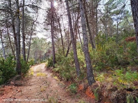 Se Vende en Valderrobres - TERUEL