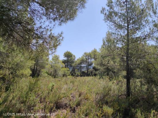 Se Vende en La Portellada - TERUEL