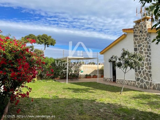  Casa en alquiler en Vélez-Málaga (Málaga) 