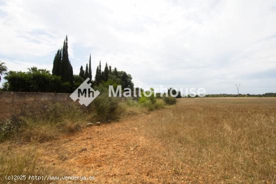 Se Vende en Muro - BALEARES