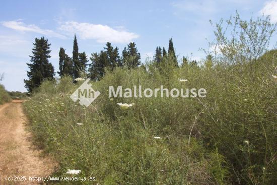 Se Vende en Muro - BALEARES