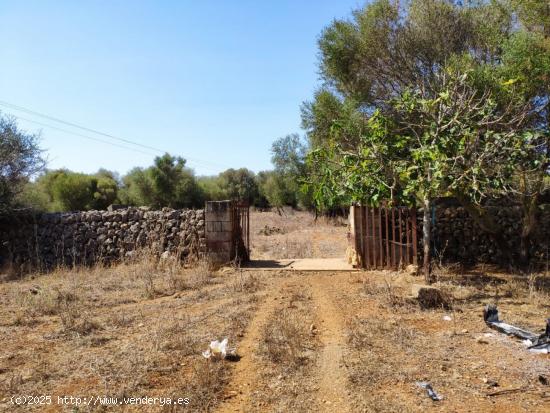 Se Vende en Santa Margalida - BALEARES