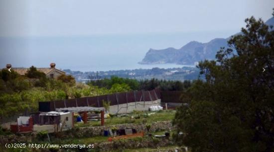 TERRENO RÚSTICO DE MÁS DE 10.000 M²  EN BOLULLA - ALICANTE