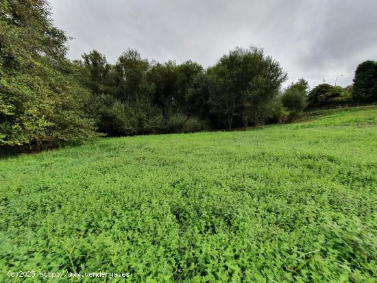 FINCA EN VENTA EN PRESA DEL REY, NARÓN - A CORUÑA