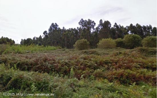 FINCA RÚSTICA IDEAL PARA PLANTACIÓN EN SEQUEIRO, VALDOVIÑO - A CORUÑA