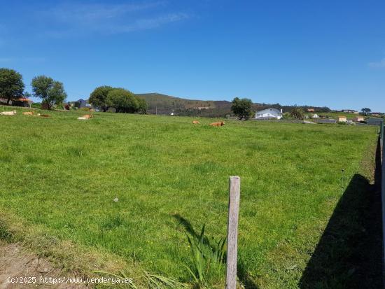 SE VENDE FINCA RÚSTICA EN MEIRÁS, VALDOVIÑO - A CORUÑA