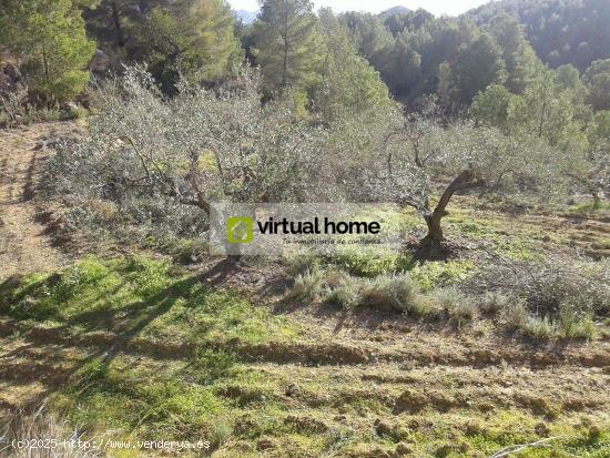  Terreno en venta, Polop. - ALICANTE 