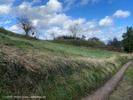 Buscas una parcela pàra hacer tu casa de campo? Regalamos Proyecto - ASTURIAS