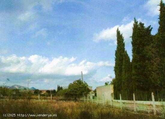 Terreno de 4.000 m2 con pozo de agua y casa de aperos en Selva - BALEARES