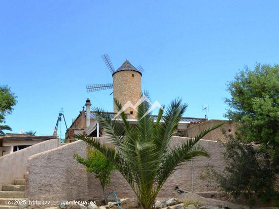 Restaurante ubicado en antiguo Molino de Viento en Capdepera - BALEARES