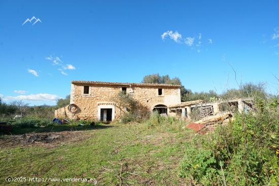 Gran Finca Rústica de 44.771 m2 en Binissalem - BALEARES