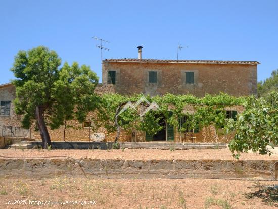 Finca Rústica de 140.000 m2 ubicada cerca de Puntiró, Palma de Mallorca - BALEARES