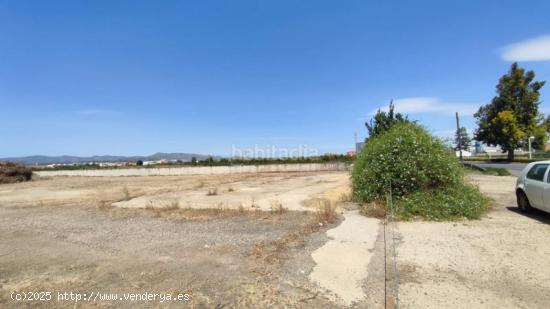 TERRENO RÚSTICO FORMADO POR TRES PARCELAS VALLADAS EN CARRETERA CARLET/ALCUDIA - VALENCIA