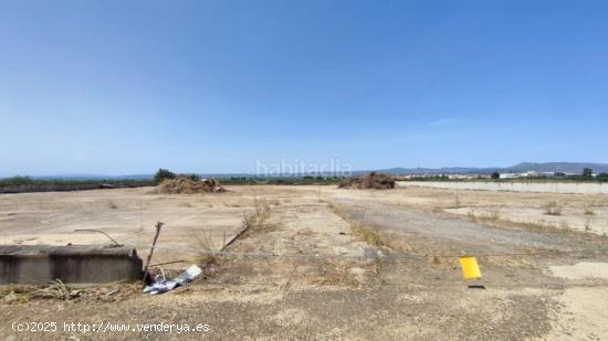 TERRENO RÚSTICO FORMADO POR TRES PARCELAS VALLADAS EN CARRETERA CARLET/ALCUDIA - VALENCIA