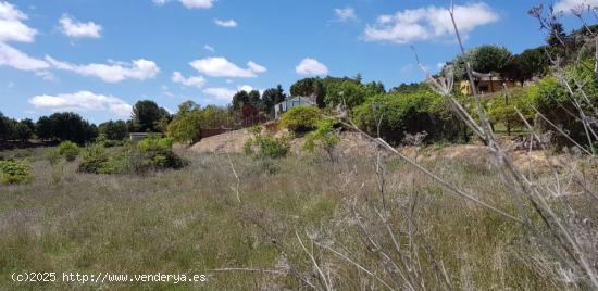  Se Vende en Palencia - PALENCIA 