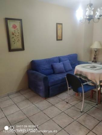 APARTAMENTO - CORDOBA