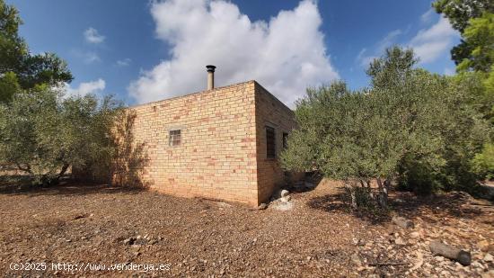 Finca Rústica en L'Ampolla - TARRAGONA