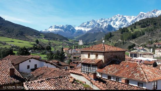  ¡¡BIENVENIDO AL CORAZÓN DE LOS PICOS DE EUROPA!!  (no olvides ver el vídeo) - CANTABRIA 