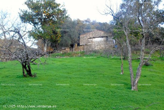 SE VENDE FINCA RÚSTICA EN VENTA EN LINARES DE LA SIERRA (HUELVA) ESPAÑA. - Linares de la S