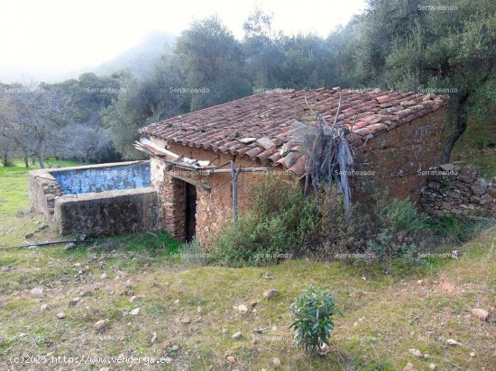 SE VENDE FINCA RÚSTICA EN VENTA EN LINARES DE LA SIERRA (HUELVA) ESPAÑA. - Linares de la S