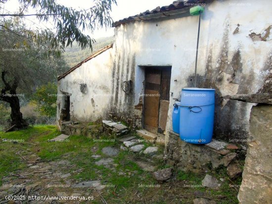 SE VENDE FINCA RÚSTICA EN VENTA EN LINARES DE LA SIERRA (HUELVA) ESPAÑA. - Linares de la S