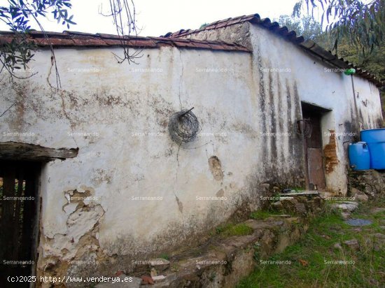 SE VENDE FINCA RÚSTICA EN VENTA EN LINARES DE LA SIERRA (HUELVA) ESPAÑA. - Linares de la S