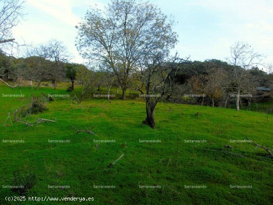 SE VENDE FINCA RÚSTICA EN VENTA EN LINARES DE LA SIERRA (HUELVA) ESPAÑA. - Linares de la S