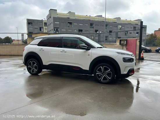 Citroën C4 Cactus BlueHDi 100 S&S Shine - Parla