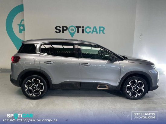 Citroën C5 Aircross  BlueHdi 96kW (130CV) S&S EAT8 C Series - Oleiros