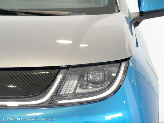 BYD Dolphin Design - SANTANDER