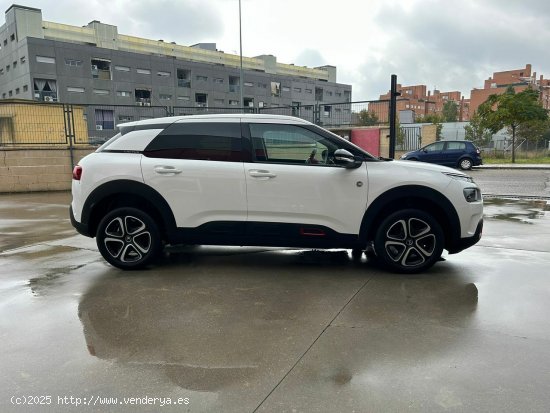 Citroën C4 Cactus BlueHDi 100 S&S Shine - Parla