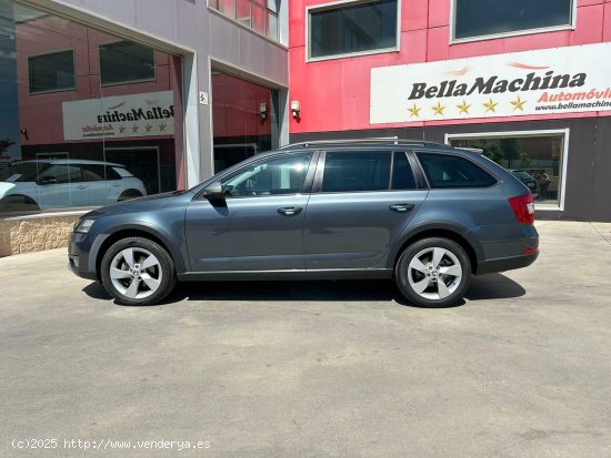 Skoda Scout 2.0 TDI 110kW (150CV) DSG 4x4 Scout - Parla