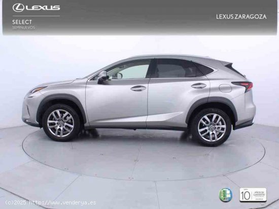 Lexus NX 2.5 300h Executive Navigation 4WD + Pack Boutique Select - Zaragoza