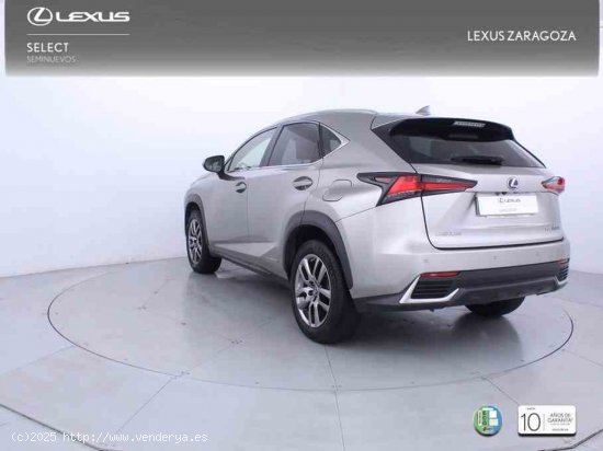 Lexus NX 2.5 300h Executive Navigation 4WD + Pack Boutique Select - Zaragoza