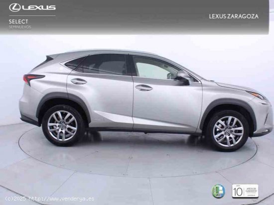 Lexus NX 2.5 300h Executive Navigation 4WD + Pack Boutique Select - Zaragoza