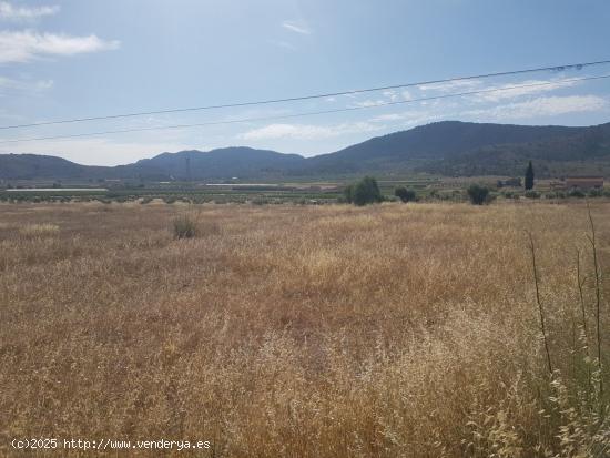 Terreno Hondón de los Frailes primera línea con agua (Alicante) - ALICANTE