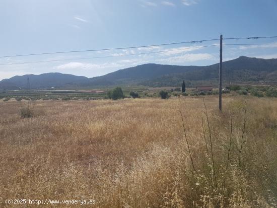 Terreno Hondón de los Frailes primera línea con agua (Alicante) - ALICANTE