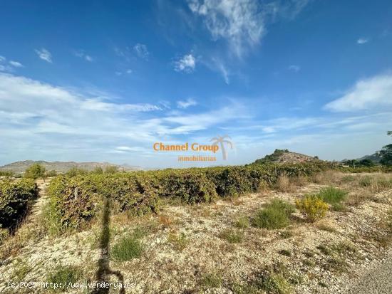 SE VENDE PARCELA DE 14000 M2, ZONA LA ROMANA !!!!!!! - ALICANTE