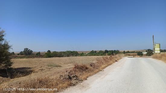  Finca rústica de 2,5 hectáreas a la venta en Guillena - Sevilla - SEVILLA 